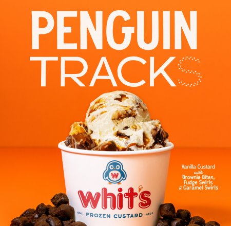 Penguin Tracks